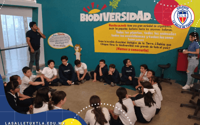 1Visita al museo 23 Visita al museo