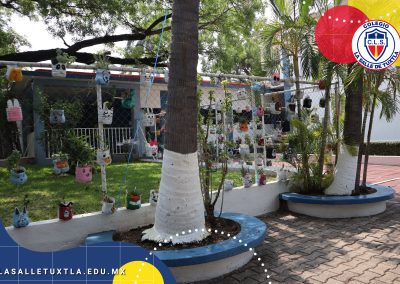 AREA COMUN PRIMARIA 09