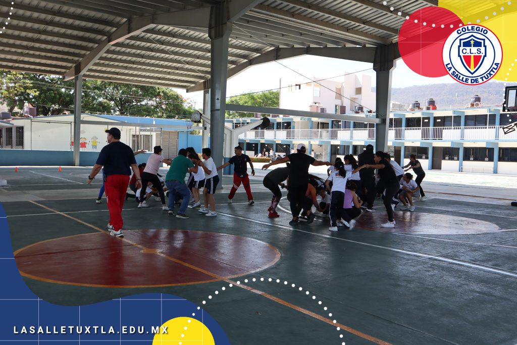 matrogimansia 15 matrogimansia 15