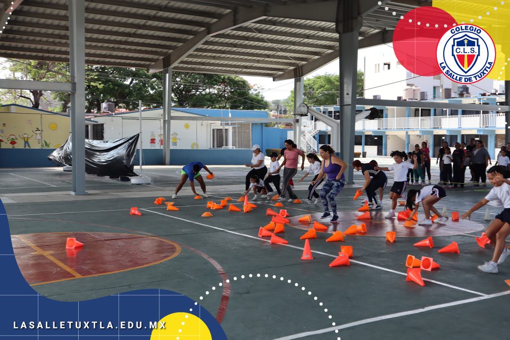 matrogimansia 36 matrogimansia 36