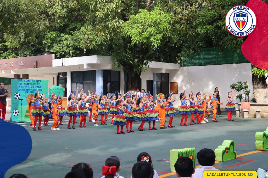 IMG 4851